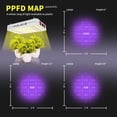 thumbnail image 4 of Luces LED de cultivo KingLED KP1000 de espectro completo de 2 x 2 pies, 4 of 6