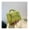 Green, variant on Crossbody Bag for Women New Fashion Casual Western Style Shoulder Handbag Simple Texture Messenger Small Square Bag