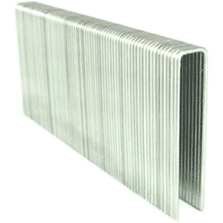 2" Leg x 7/16" Crown 16GA 304SS N21 Staples ,000ct | SSN21-1M