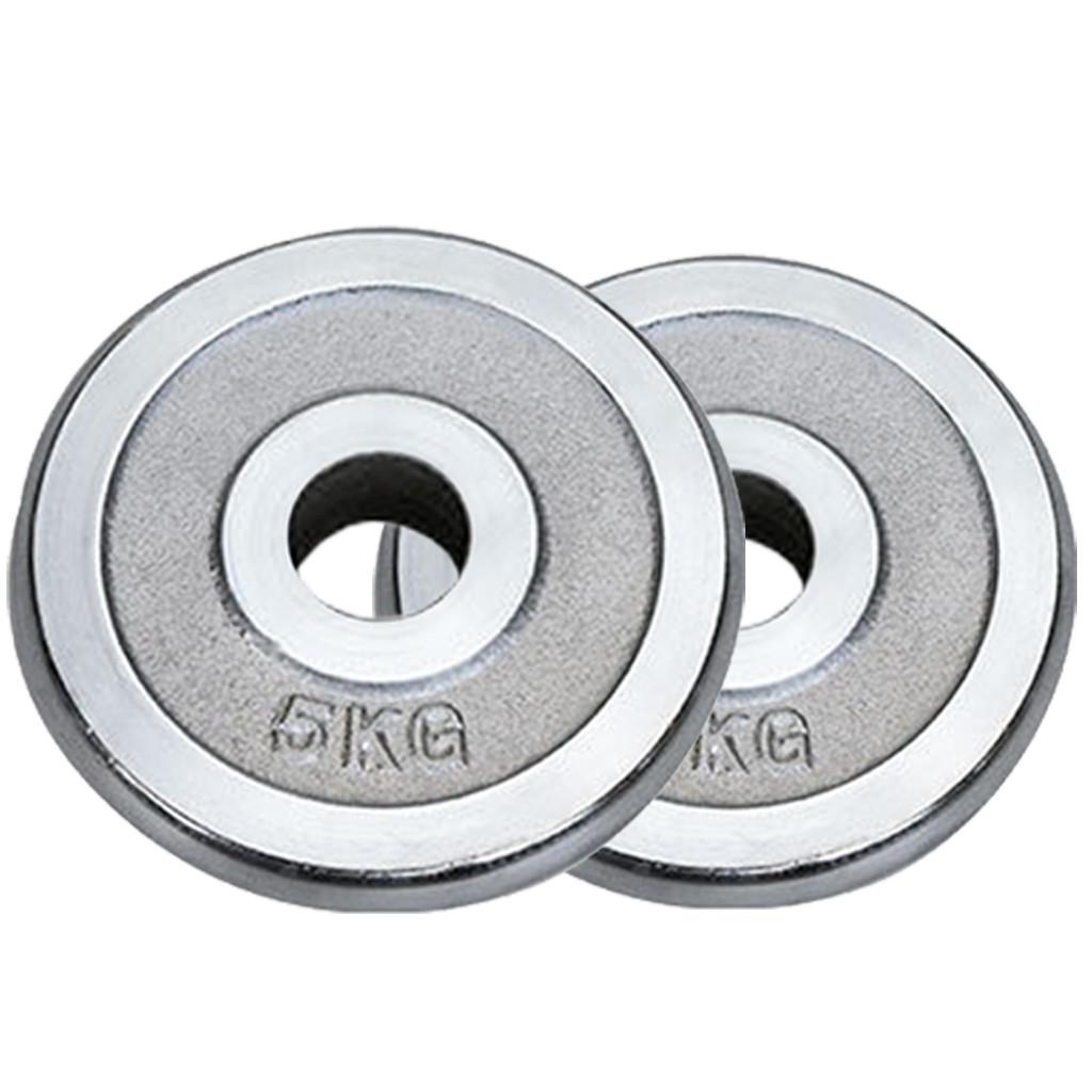 Sunvit Barbell Standard Cast Iron Weight PlateWeight Lifting Plates,2.