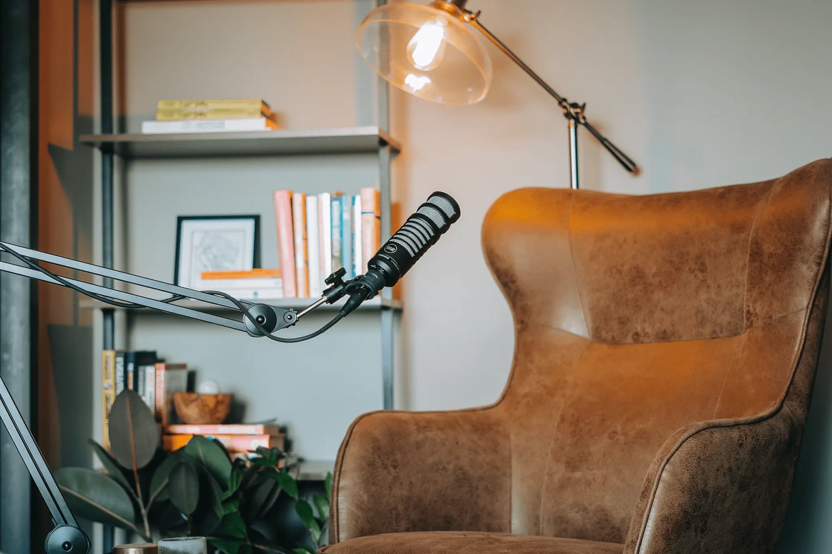 512 Audio by Warm Audio 512-BBA 31" Adjustable Microphone Boom Arm + RCM SR Mic