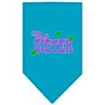 thumbnail image 1 of Big Sister Screen Print Bandana Turquoise Small, 1 of 1