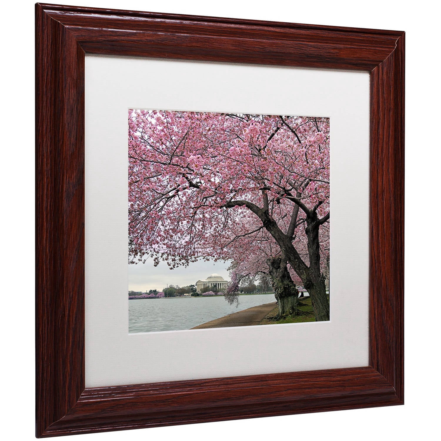 Trademark Fine Art "Tidal Basin Blossoms" Canvas Art by CATeyes, White Matte, Wood Frame