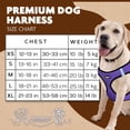 thumbnail image 2 of Murphy & Roxy No-Pull Dog Harness – Adjustable Vest Harness with Reflective Trim for Small to Medium Dog Breeds – Heavy-Duty and Comfortable for Walking, Training for Pets, Purple (Size L), 2 of 6