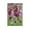 Unframe-style, variant on Signed by Lindsey Horan Canvas Poster Wall Art Poster Gifts Bedroom Prints Home Decor Hanging Picture Canvas Painting Posters 24x36inch(60x90cm)