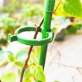 10 Sets Green Plant Sticks Support Stakes for Indoor Outdoor Plant