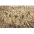 thumbnail image 2 of Flaherty, Dennis 24x17 White Modern Wood Framed Museum Art Print Titled - Japan, Nara Prefecture, Heguri-cho Drying rice, 2 of 4
