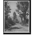 thumbnail image 2 of Historic Framed Print, [The Road to Mount Greylock, Adams, Mass.], 17-7/8" x 21-7/8", 2 of 9