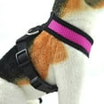 thumbnail image 4 of Walbest Soft Mesh Dog Harness Pet Walking Vest Puppy Padded Harnesses Adjustable (L, Purple), 4 of 7