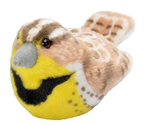 stuffed birds with sounds
