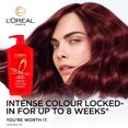 thumbnail image 2 of L'Oréal Paris Hair Expertise Color Radiance Conditioner, 2 of 10