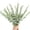 Gray-green, variant on 24 Pcs Artificial Eucalyptus Leaves Stems Real Green Touch Leaf Branches for Home Office Flowers Bouquet Centerpiece Wedding Decoration