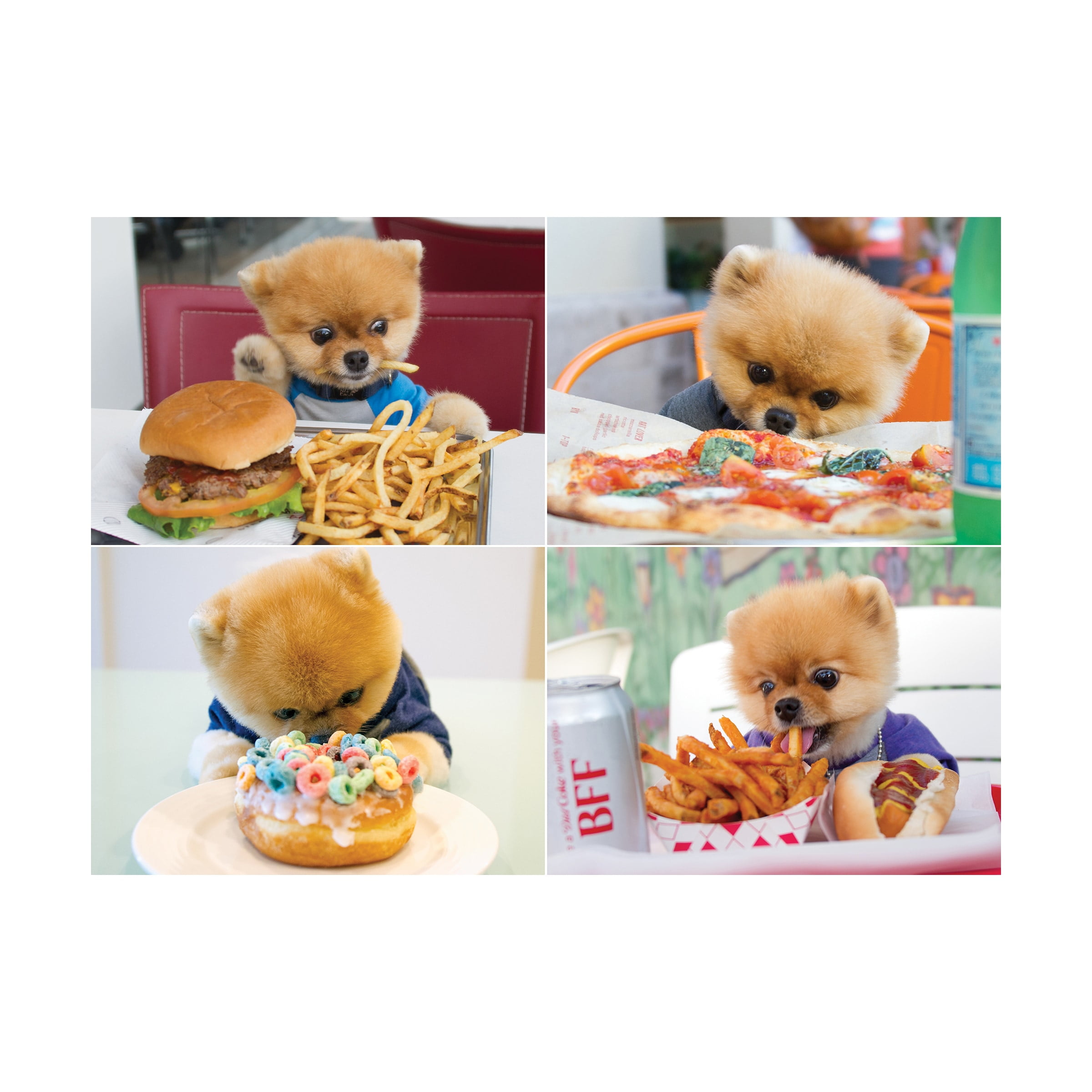 jiffpom stuffed animal