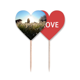 thumbnail image 1 of La ciencia naturaleza paisaje Sol Verde forestal Palillos de dientes bandera etiqueta de amor selección de pastelitos, 1 of 4