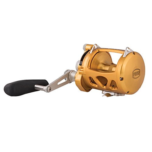 リール PENN International  MODEL80 PENN Saltwater Conventional 2 Speed Reel International VI