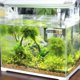 thumbnail image 3 of Aquarium Thermometer Electronic Digital Fish Tank Accessories B, 3 of 5