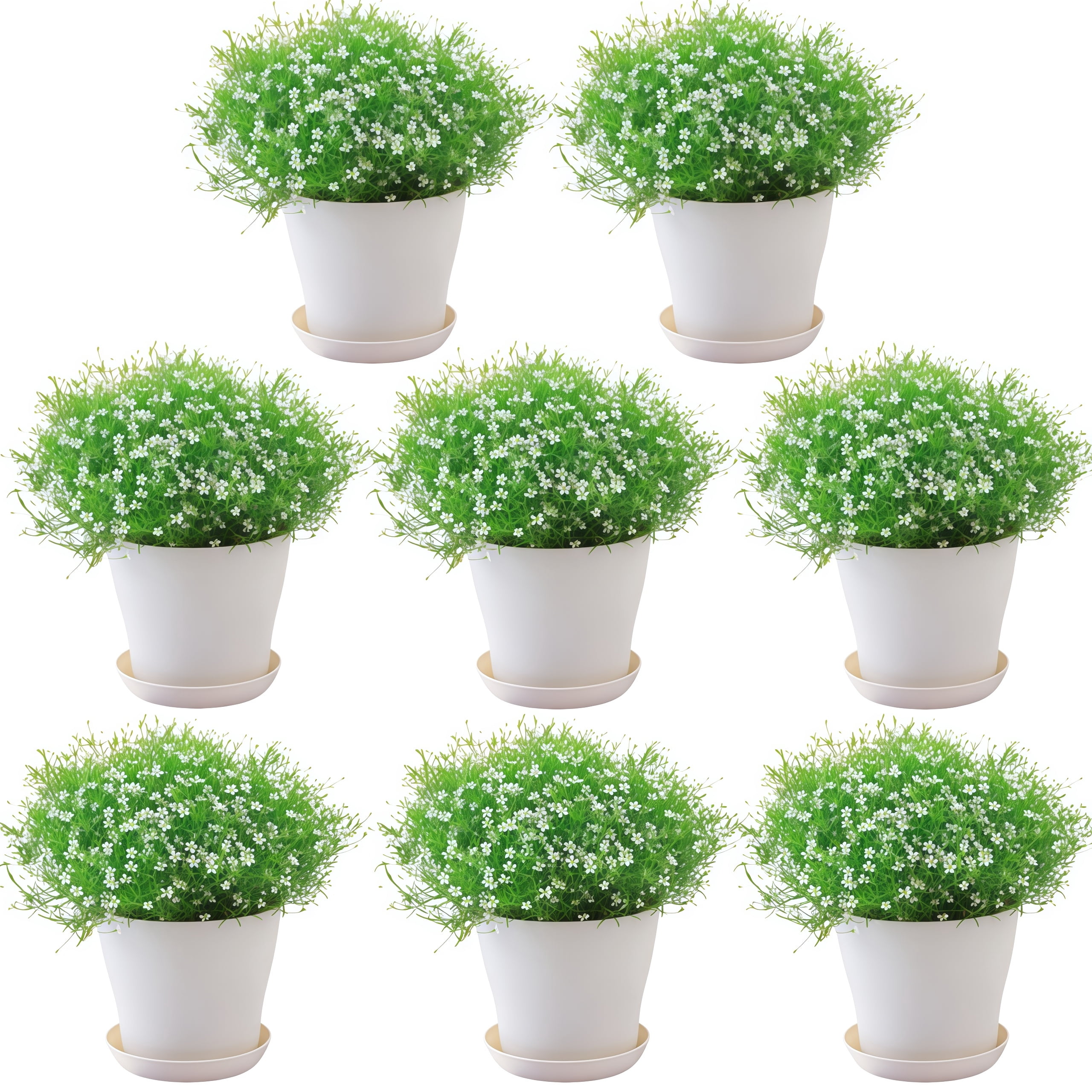 GIXUSIL 8-Pack 4.8 inch Plastic Plant Pots with Saucers, Thickened Nursery Pots with Drainage Holes for Indoor Outdoor Plants, Flowers, Succulents, Herbs, White