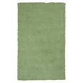 thumbnail image 1 of HomeRoots 353913 Tapis en Polyester Vert Menthe Verte 3 Pi 3 Po x 5 Pi 3 Po, 1 of 1