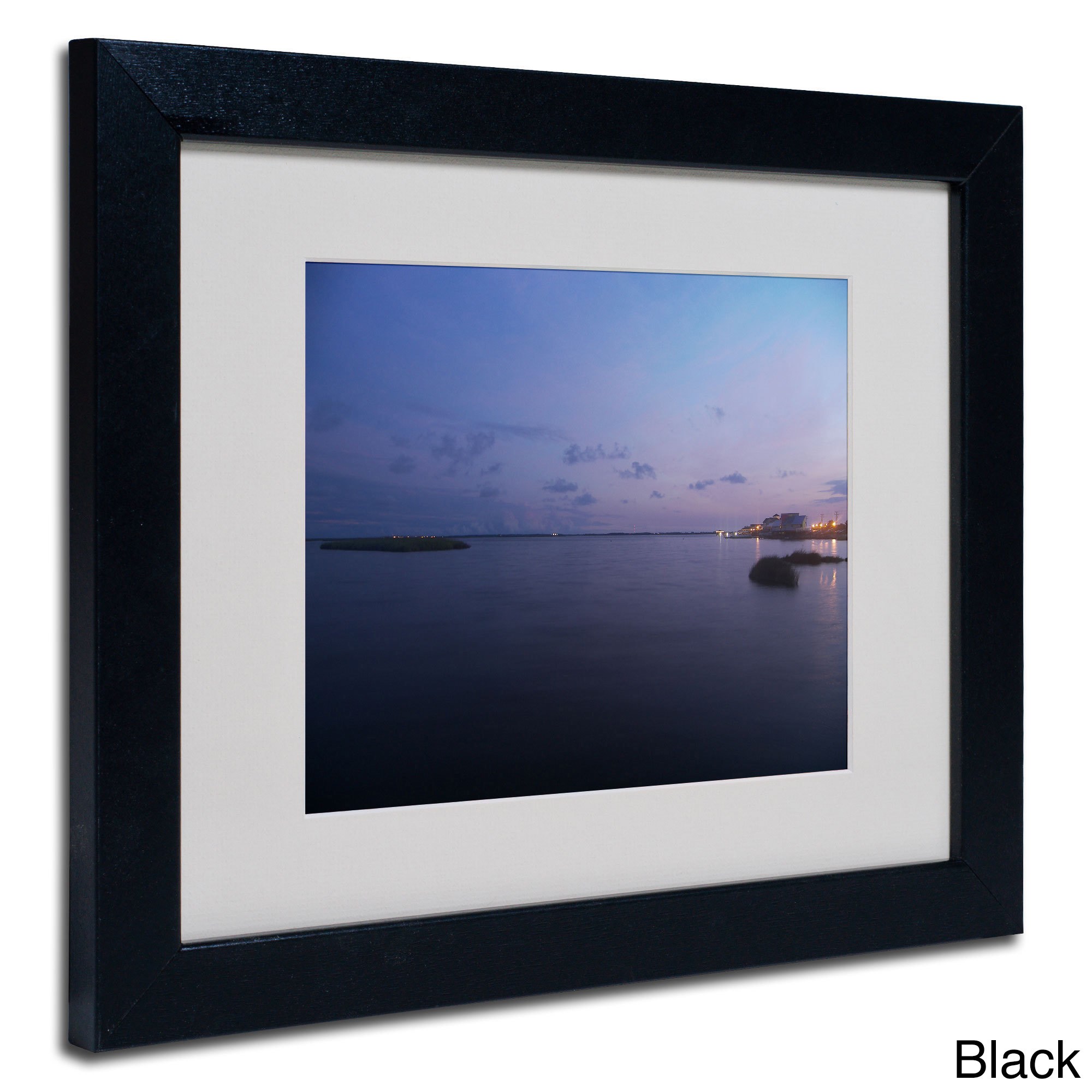 Trademark Fine Art "Pure Elegance" Canvas Art by Monica Fleet, White Matte, Wood Frame