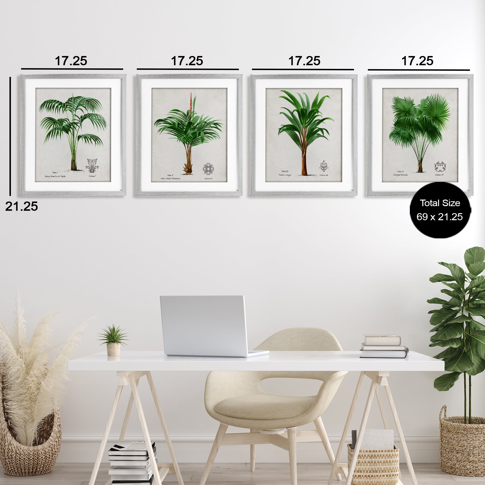 Stupell Industries Palm Varieties Studies 4 Piece Gray Framed Print Under Glass Set, design by Natalie Carpentieri