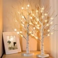 thumbnail image 1 of FrostHike LED Lights Birch Tree, 2 Pack Branch Tree Lamp Christmas Decor, 24" Lighted Tree Light, USB/Battery Tabletop Tree Light with Timer Battery Powered for Home Festival Wedding Decoration, 1 of 5