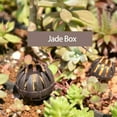 thumbnail image 4 of 10 Pieces Bonsai Fertilizer Box Automatic Planting Fertilizers Baskets Plastic Claw Shaped Fertilization Control Container, 4 of 5