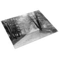 thumbnail image 3 of Print: Walking Path At Rock Creek Park, Washington, D.C., circa 1918-1920, 3 of 4