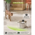 thumbnail image 3 of Fuente de agua Cat APD APETDOLA de acero inoxidable 4L, 3 of 9