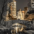thumbnail image 2 of Frank, Assaf 12x12 Gold Ornate Wood Framed with Double Matting Museum Art Print Titled - Evening view of Central Park in New York City, 2 of 4
