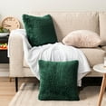 thumbnail image 2 of PAVILIA Fluffy Emerald Green Throw Pillow Covers, Decorative Accent Pillow Cases for Bed Sofa Couch, Soft Faux Fur Cushion Cover, Square Sherpa Pillowcases, Home Room Decor, Green, 18x18 Set of 2, 2 of 9