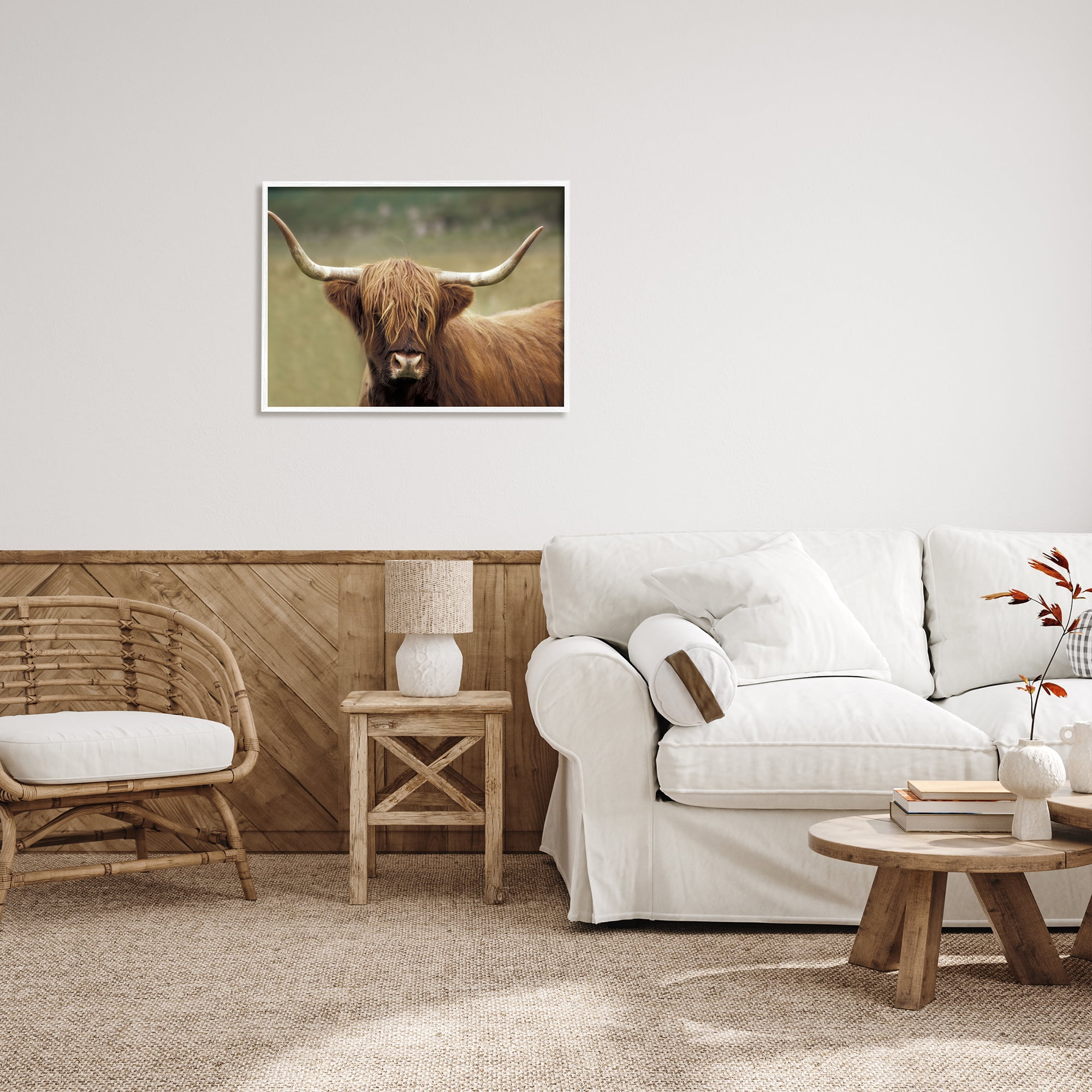 Stupell Industries Highland Cattle Shaggy Hair Country Animal Portrait Photography, 30 x 24, Design by Danita Delimont