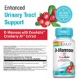 thumbnail image 2 of Solaray D-Mannose with CranActin Urinary Tract Health 60 Veggie Caps, 2 of 5