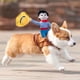 thumbnail image 4 of Disfraz de Jinete de Vaquero para Perro - Disfraces de Halloween para Perros pequeños o Gatos, Ropa para Perros Estilo Caballero con muñeca y Sombrero para Disfraz de Mascota del día de Halloween, 4 of 5