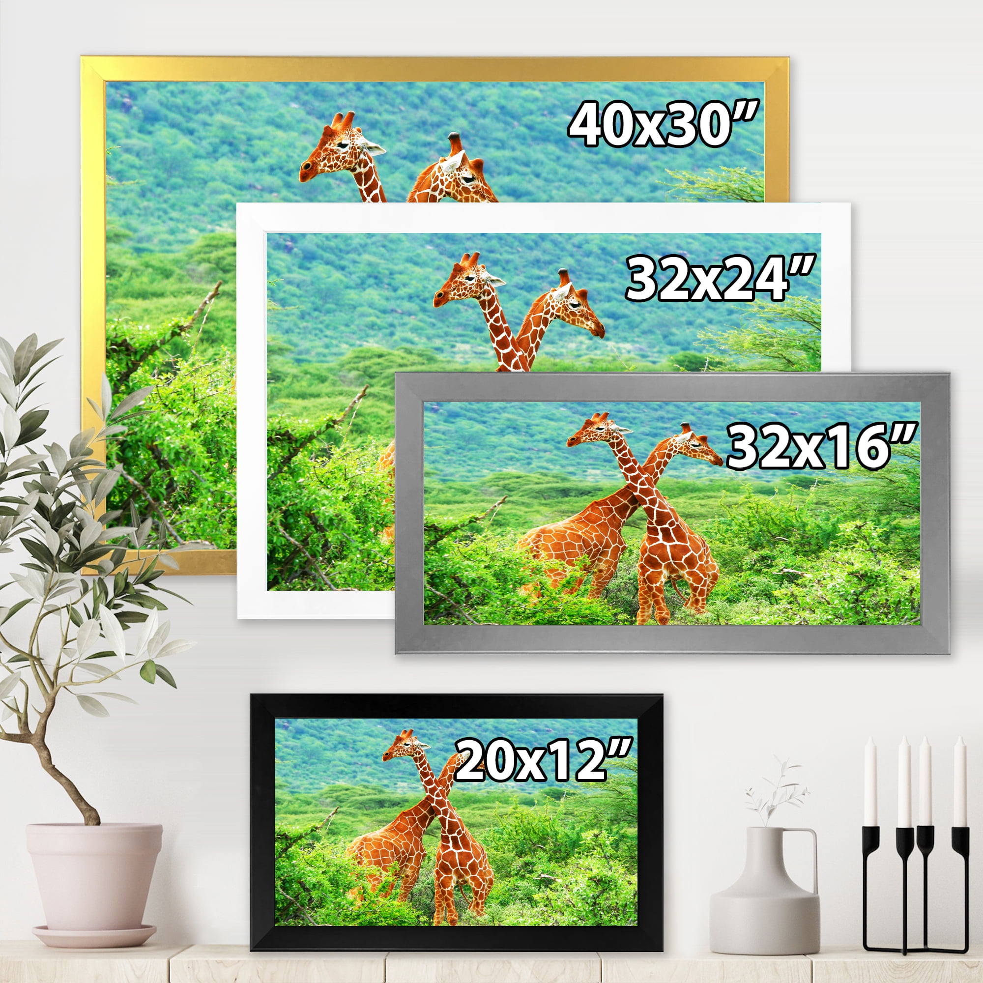 Designart 'Two Giraffes Fighting In Lush Green Wild' Farmhouse Framed Art Print