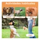 thumbnail image 2 of Bozal Para Perro Bozales Nariz Corta Pitbull,ajustable,suave, 2 of 8