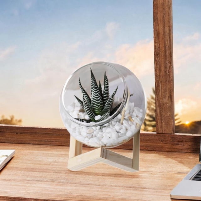 Macetas de cristal perfecl maceta pequeña para flores decoración de moda transparente 12cm