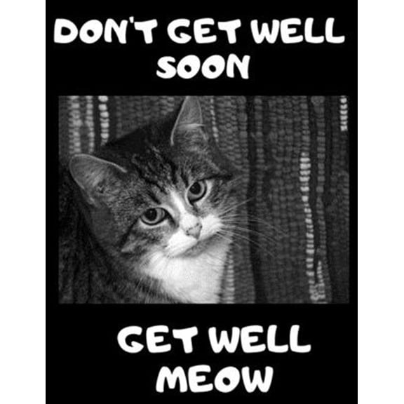 Pre-Owned Don't Get Well Soon Get Well Meow: 100 Easy Sudoku Puzzle Large Print Book - Cute Kitten Funny Get Well Gift For Women After Surgery