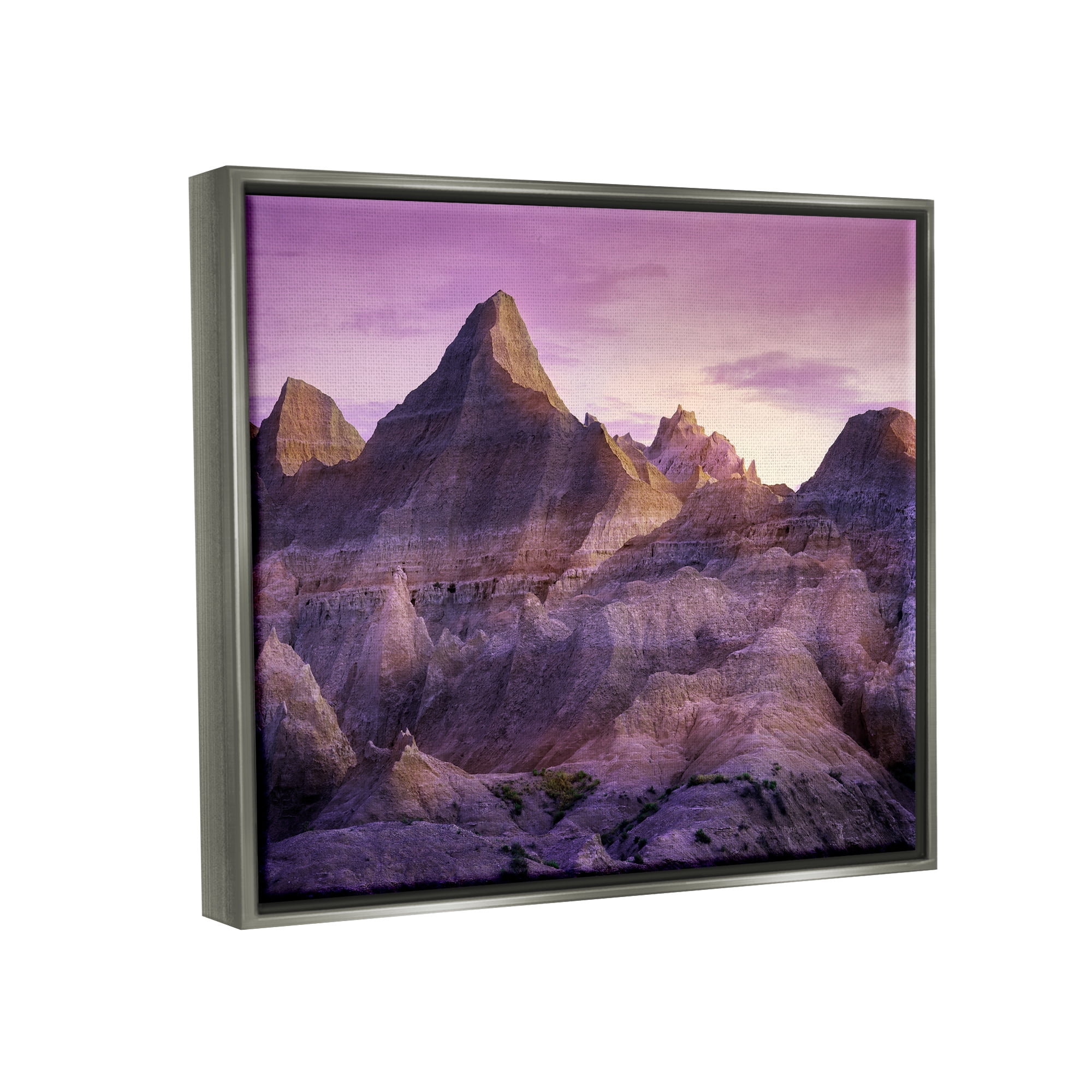 Stupell Badlands Canyon Cliffs Landscape Landscape Photography Gray Floater Framed Art Print Wall Art