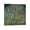 Frame-style, variant on Gustav Klimt Apple Tree I Prints Wall Art Poster Artworks Canvas Poster Room Aesthetic Wall Art Prints Home Modern Decor Gifts 12x12inch(30x30cm)