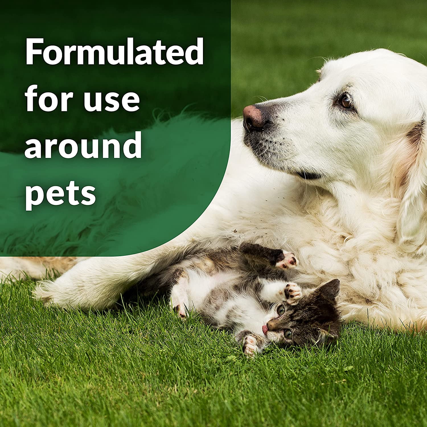 128 oz. Outdoor Odor Eliminator for Patios Decks Dog Runs Yards