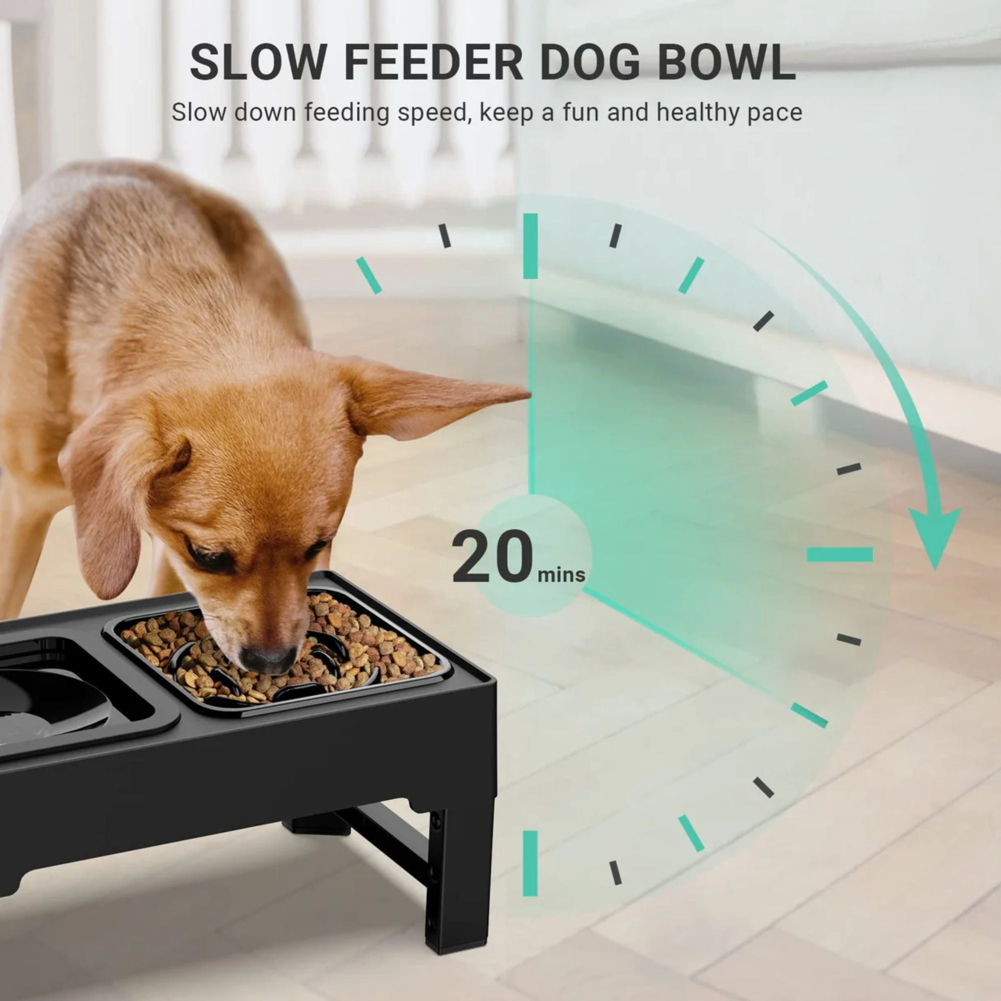 Els Pet 2-in-1 Elevated Feeding Station (Slow Bowl+Floating Bowl)