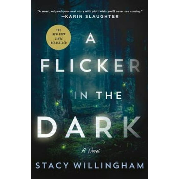 Pre-Owned A Flicker in the Dark (Hardcover) 1250803829 9781250803825