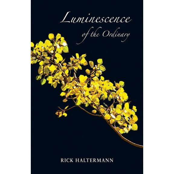 Luminescence of the Ordinary, (Paperback)