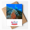 thumbnail image 1 of Ocean Fish Diving People Science Nature Happy Birthday Greeting Cards Envelopes Blank, 1 of 3