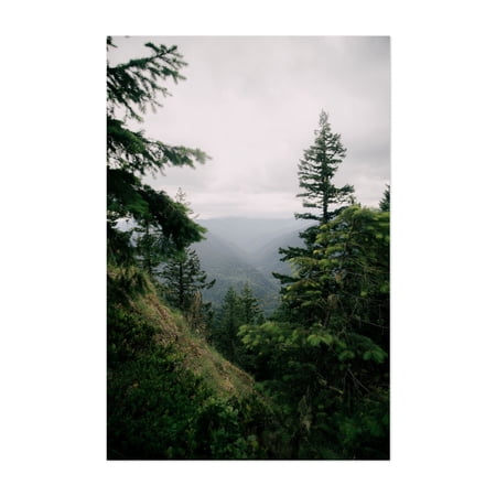 Green Dreams - Oregon Photography Forest Nature Landscape Mountain Wilderness Scenic Woodland Unframed Wall Art Print 5 x 7 inches