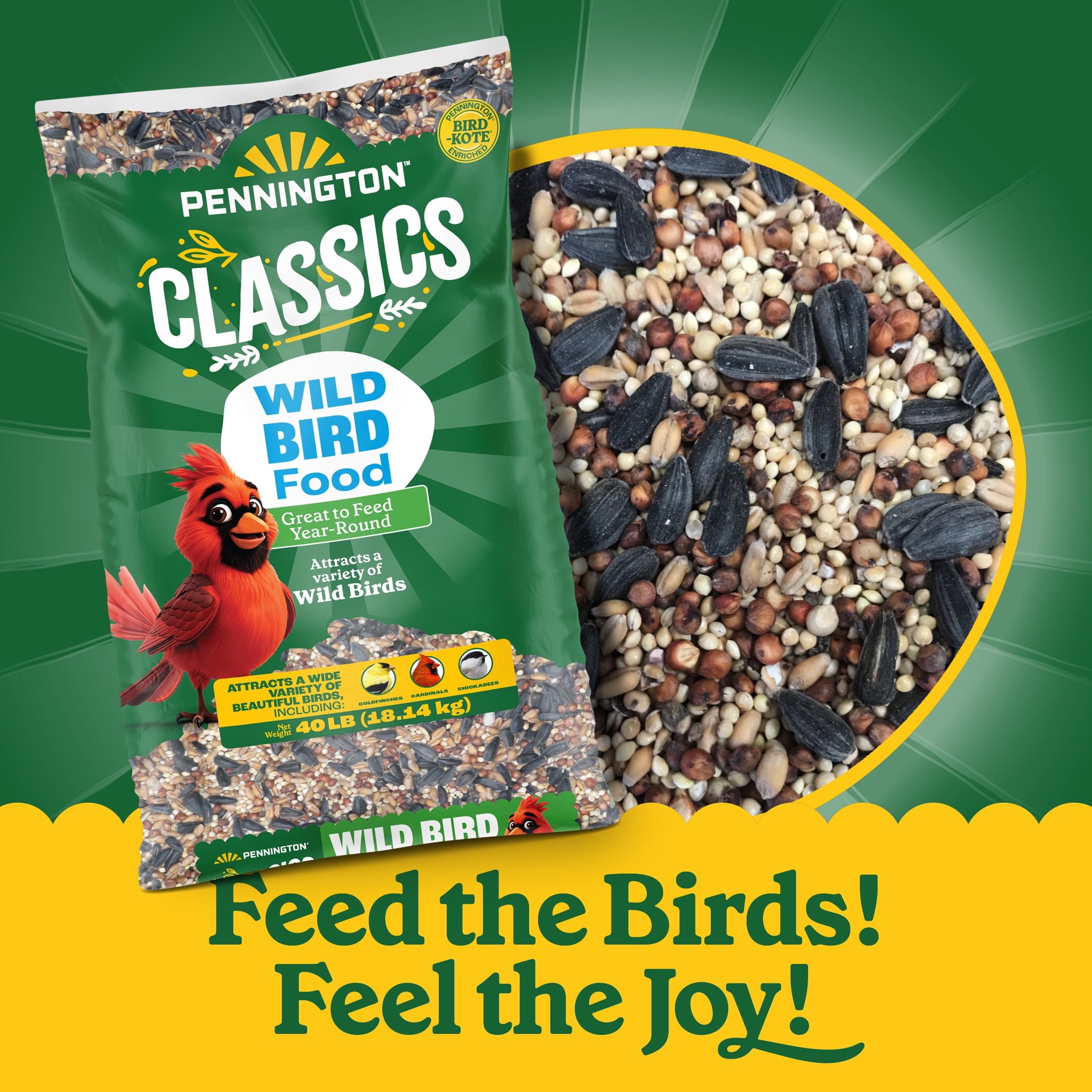 Pennington Classic Wild Bird Feed and Seed, 40 lb. Bag, Dry, 1 Pack