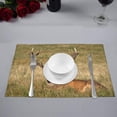 thumbnail image 2 of MKHERT Red Deer Old Stag Countryside Rural Hunting Theme Placemats Table Mats for Dining Room Kitchen Table Decoration 12x18 inch,Set of 6, 2 of 4