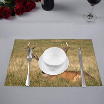 Mkhert Red Deer Old Stag Countryside Rural Hunting Theme Placemats