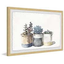 Granny's Cacti Framed Painting Art Print, 30.00" x 1.50"