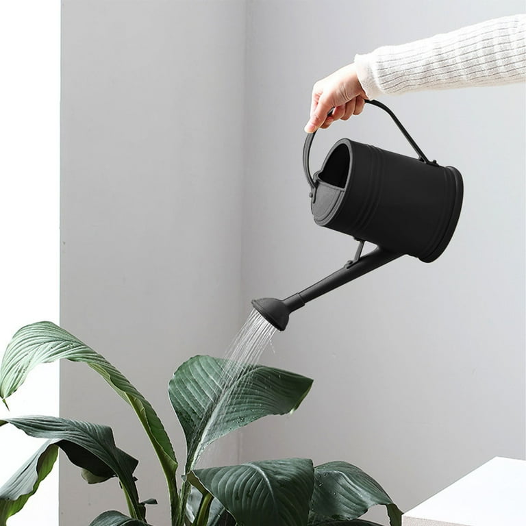 BMYJ Long Spout Plant Watering Can 1/2 Gallon, Small Plastic Indoor Plant  Watering Can for Outdoor Plants, Houseplant Bonsai Watering Can Outdoor, ...